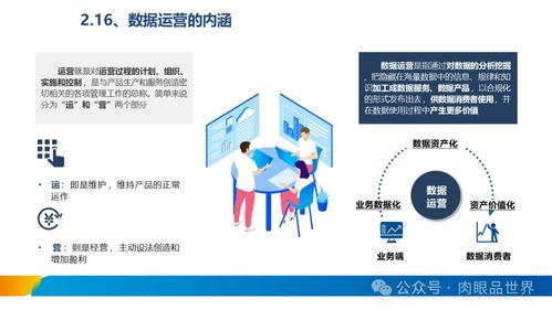 xx集團數(shù)據(jù)治理體系建設(shè)方案 數(shù)據(jù)處理及存儲服務