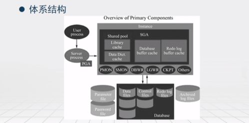 數據庫原理與應用 六類主流數據處理及存儲服務產品簡介
