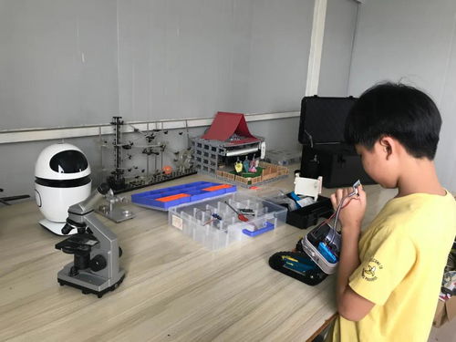 鯉城學子以科技之光點亮新時代好少年榮耀，研發盲人輔助器械致敬霍金精神